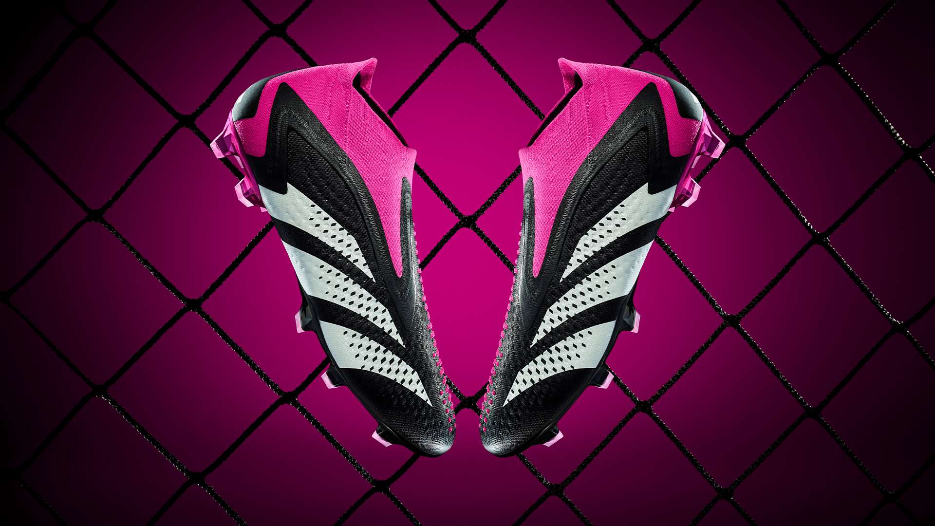 的足球明星 的足球明星