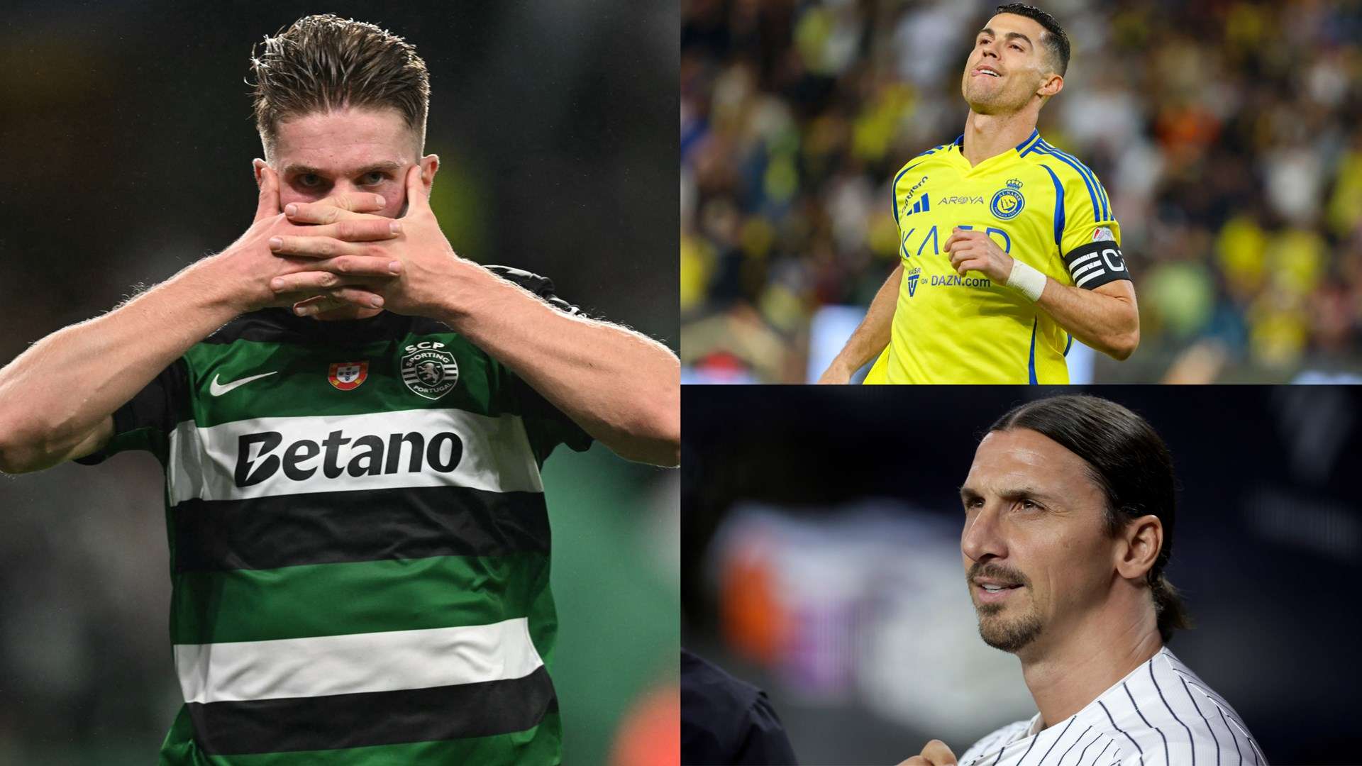 若维拉能够 若维拉能够