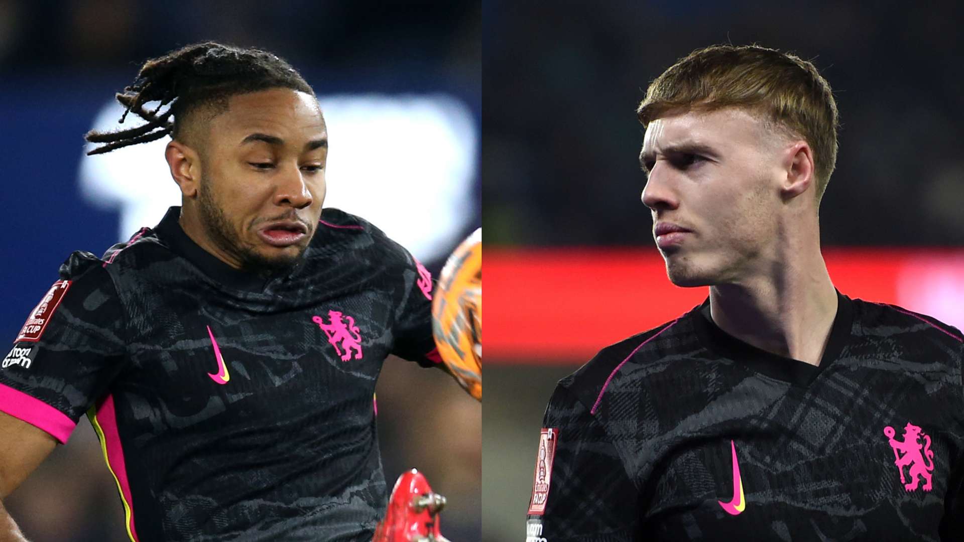 阿兰的回归 阿兰的回归